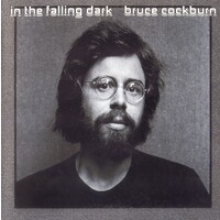 In the Falling Dark