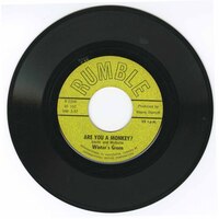 Are You a Monkey? b/w Jump in the River