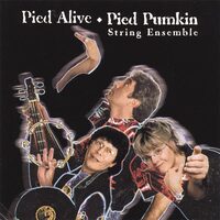 Pied Alive