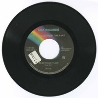 Fleetwood Plain b/w T.O. Lady