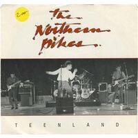 Teenland b/w Heartaches Heartbreaks (Open Up) (picture sleeve)