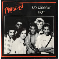 Say Goodbye b/w Hot