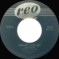 Wouldn't it be Nice b/w This is It