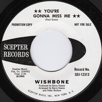 You're Gonna Miss Me b/w You're Gonna Miss Me (promo)