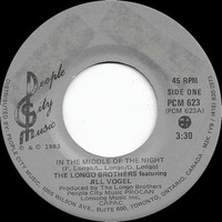 In The Middle Of The Night (ftg. Jill Vogel)