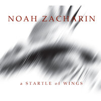 A Startle of Wings
