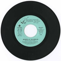 Workin' At The Woolco b/w Josephine