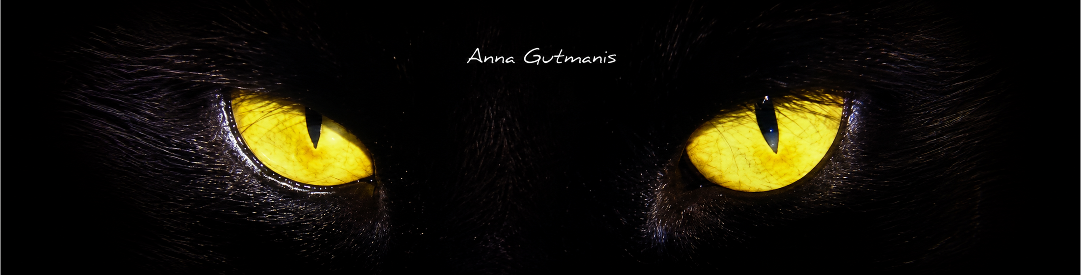 Anna Gutmanis featured artwork