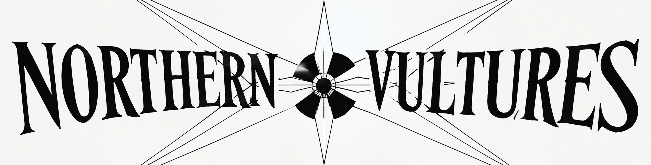Northern Vultures featured artwork