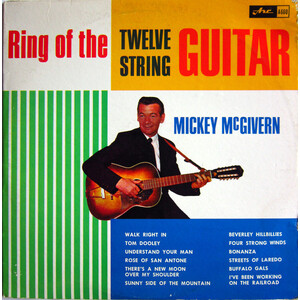 12 String Guitar