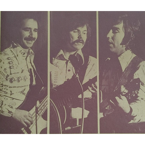 Typical Small Town Band