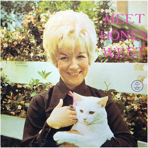 Meet Honey West