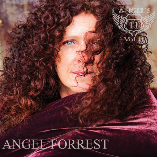 Angel's 11 vol II