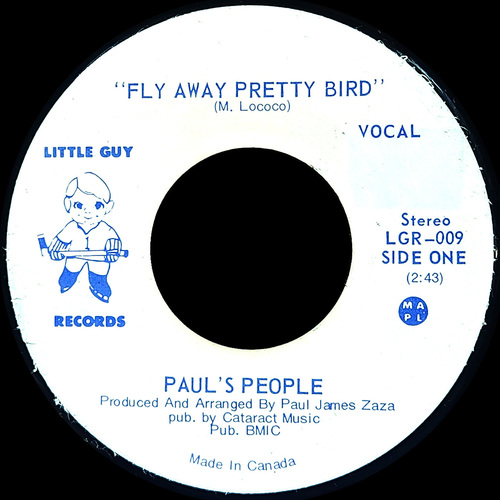 Fly Away Pretty Bird
