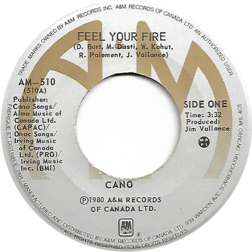 Feel Your Fire b/w Sometimes the Blues