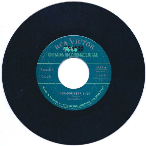 Labrador Retriever b/w Not Enough to Go Around