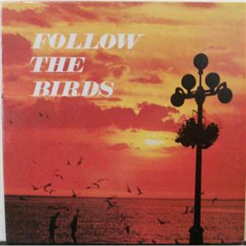 Follow the Birds comp