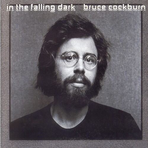 In the Falling Dark