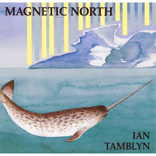 Magnetic North
