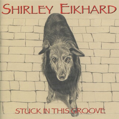 Stuck in this Groove