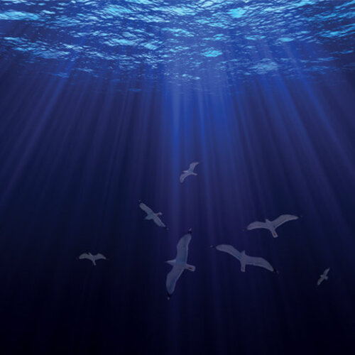 The Drop and the Sea