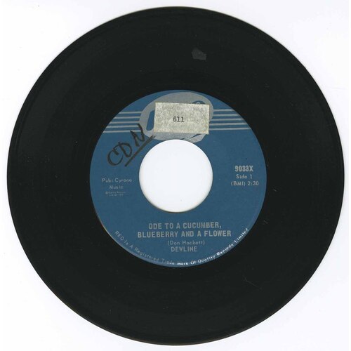 Ode to a Cucumber, Blueberry and a Flower b/w If You Can Dig It