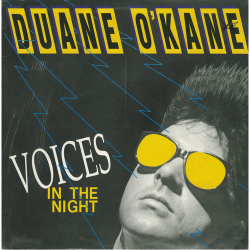 Voices In The Night