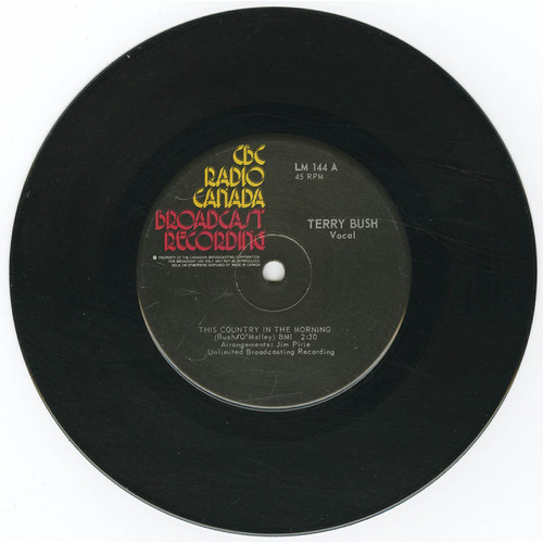 With The The Jim Pirie Orchestra 