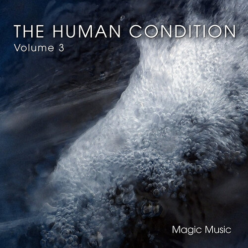 The Human Condition Volume 3