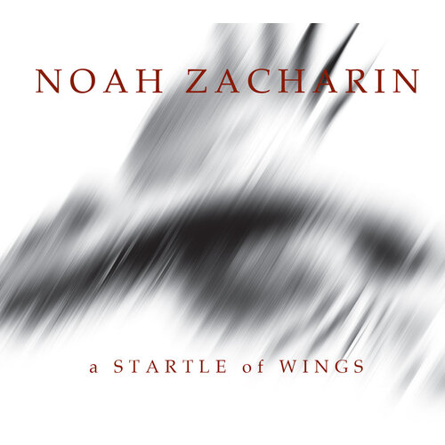 A Startle of Wings