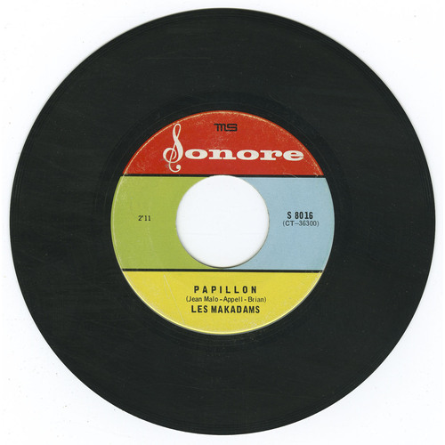 Papillon b/w Boing Bong