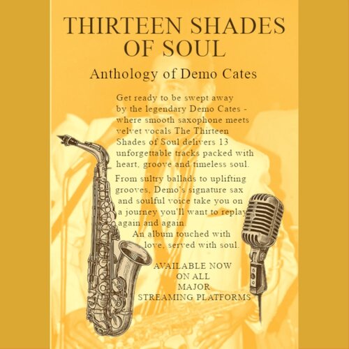 Thirteen Shades of Soul