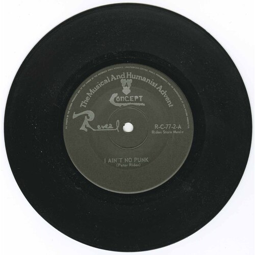 I Ain't No Punk b/w Between You And the World